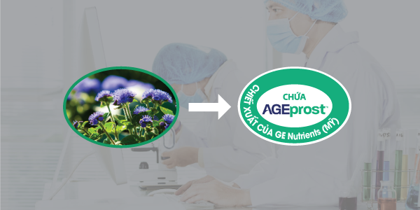 tieu-khong-het-bai-o-nam-gioi-nguyen-nhan-cach-khac-phuc