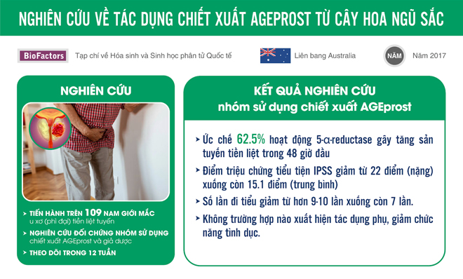 thao-duoc-la-ma-quen-giam-nhanh-u-xo-tien-liet-tuyen-tieu-nhieu-tieu-buot-kho-duoc-My-cong-nhan6