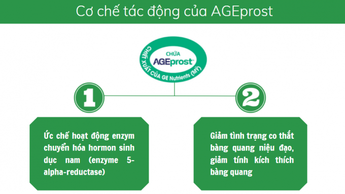 cơ chế tác dụng hoa ngũ sắc