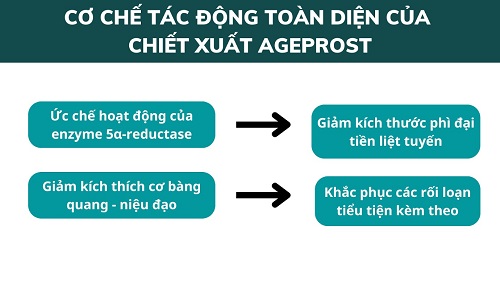 nen-an-gi-va-tranh-an-gi-khi-bi-phi-dai-tien-liet-tuyen6