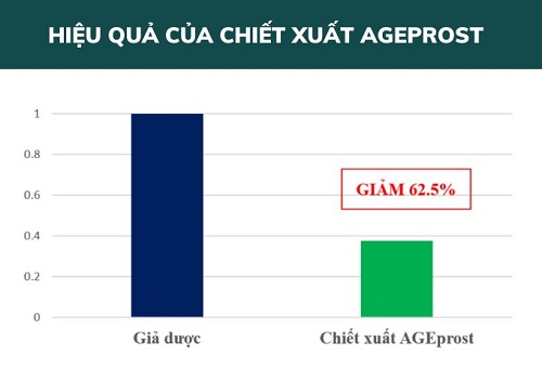 nen-an-gi-va-tranh-an-gi-khi-bi-phi-dai-tien-liet-tuyen7