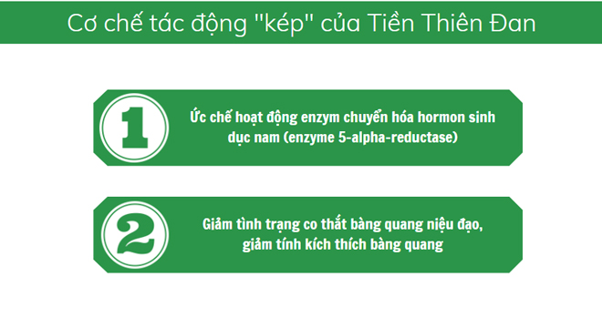 thao-duoc-la-ma-quen-giam-nhanh-u-xo-tien-liet-tuyen-tieu-nhieu-tieu-buot-kho-duoc-My-cong-nhan2