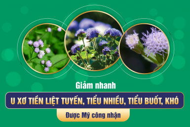 thao-duoc-la-ma-quen-giam-nhanh-u-xo-tien-liet-tuyen-tieu-nhieu-tieu-buot-kho